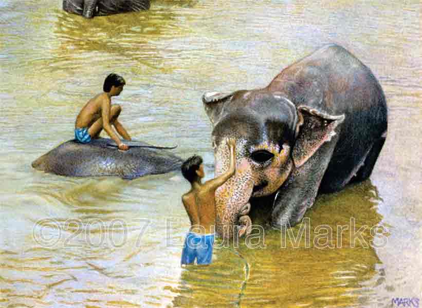 Boys and Elephants