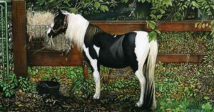 Animals - Laura Marks