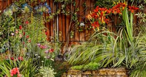 Gardens by Laura Marks